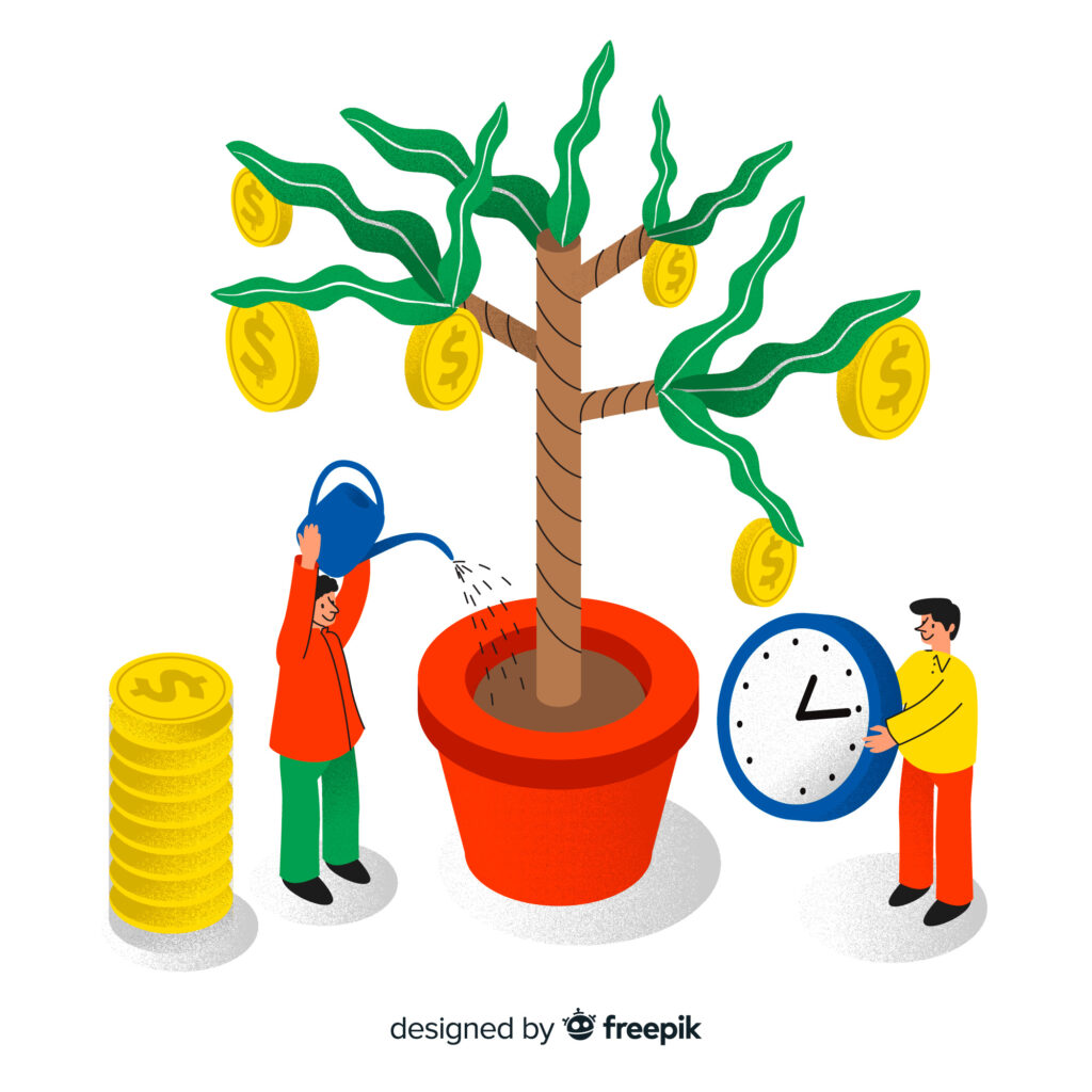 Chinese Elm Growth Rate