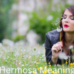 Hermosa Meaning