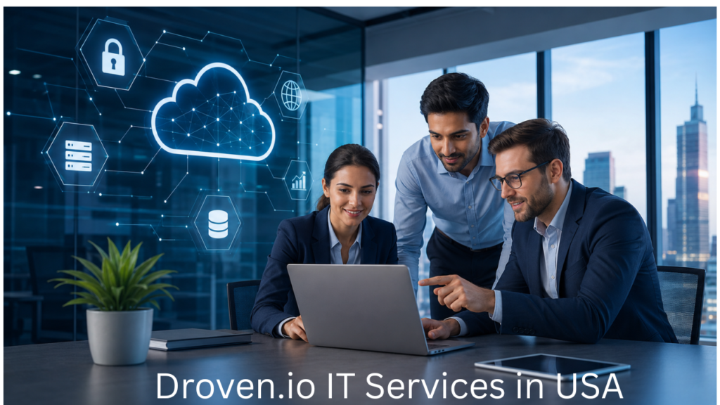 Droven.io IT Services in USA