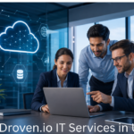 Droven.io IT Services in USA