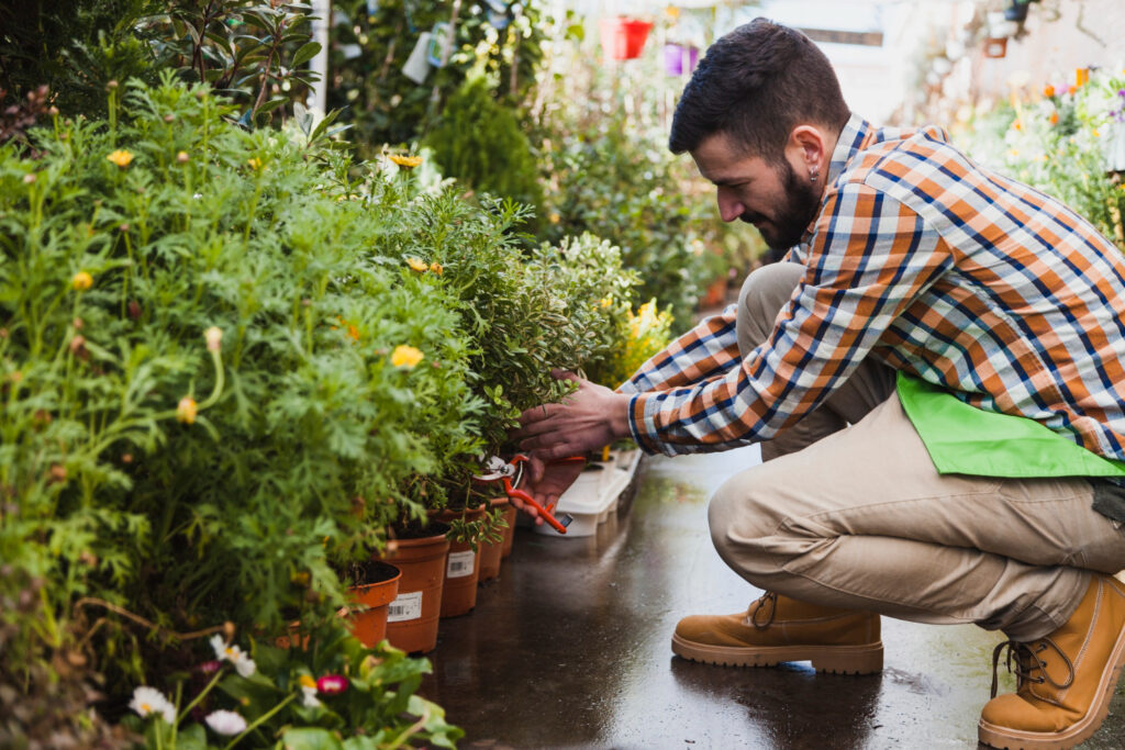 Which Propagation Method Is Best